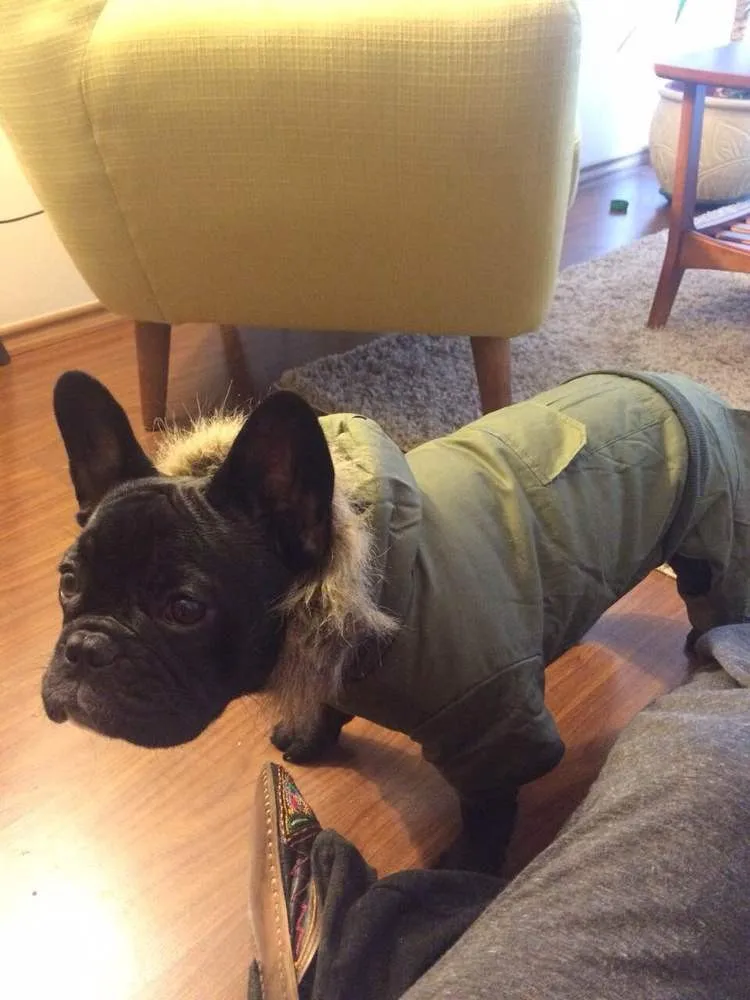 UT8UltKXwXbXXagOFbXz