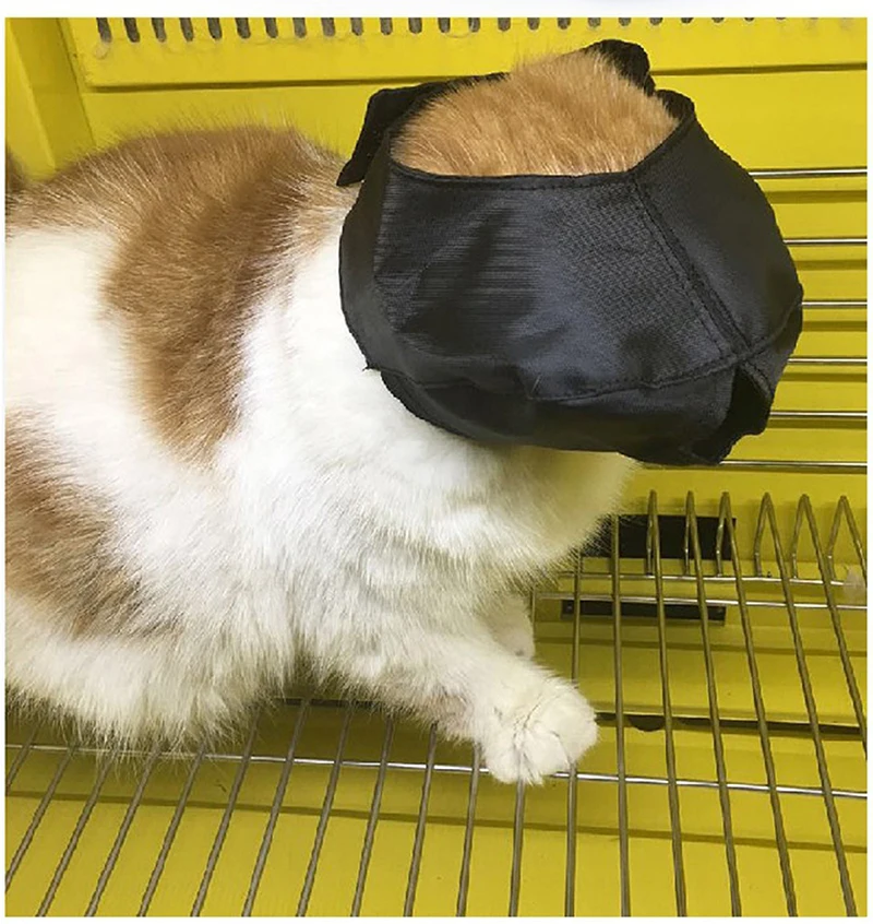 

Anti Bite Cat Muzzle Mask Cat Eye Protective Cover Cat Eye Mask Muzzle Cat Travel Bath Beauty Grooming Pet SuppliesColor random