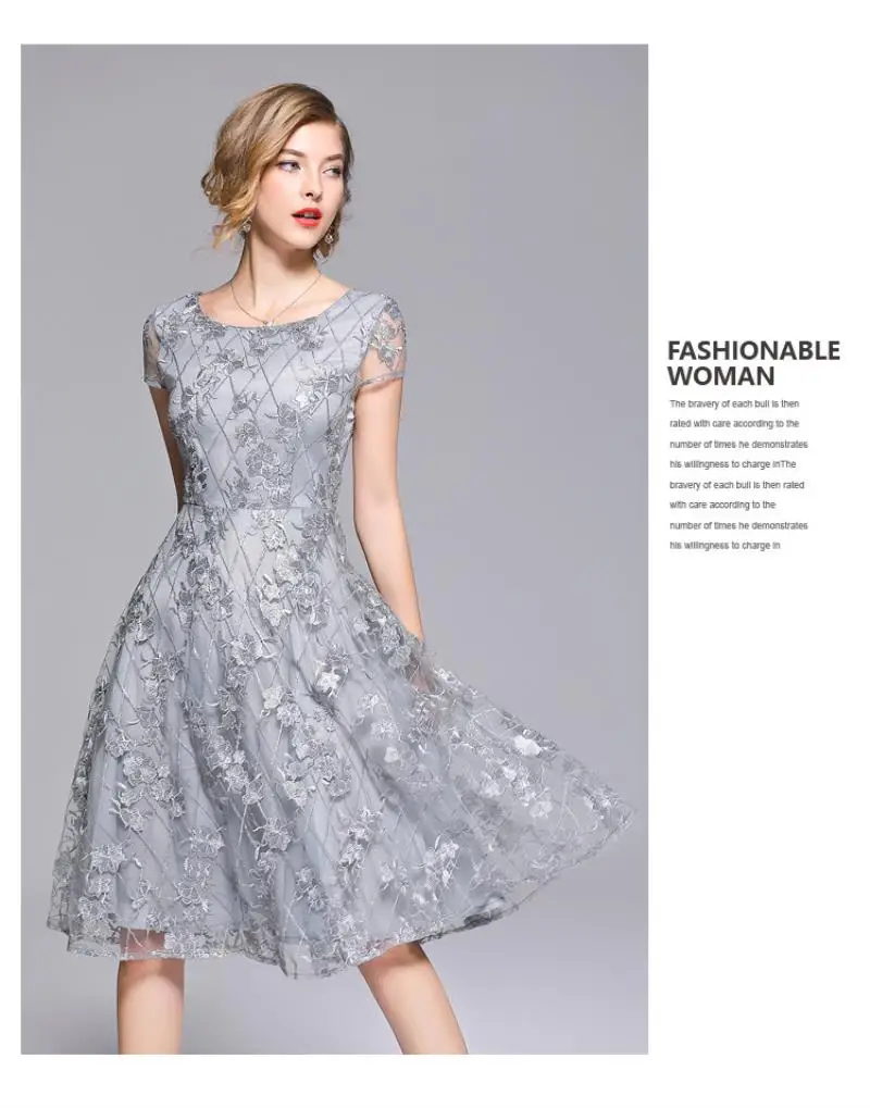 Summer Lace Mesh Embroidery Dress Chiffon Women O-Neck Short Sleeves A-Line Silver Vintage Long Party Elegant Dress Vestidos