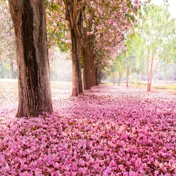 

Laeacco Pink Fallen Flowers Trees Romantic Scenery Photography Backgrounds Vinyl Personalized Camera Backdrops For Photo Studio