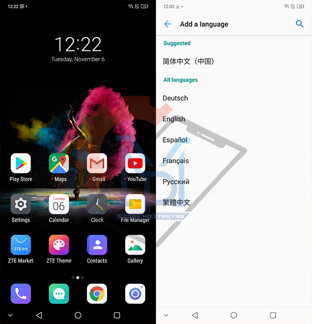 Language