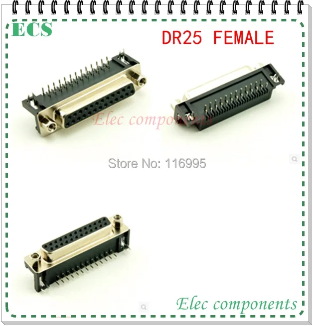 DR25 FEMALE