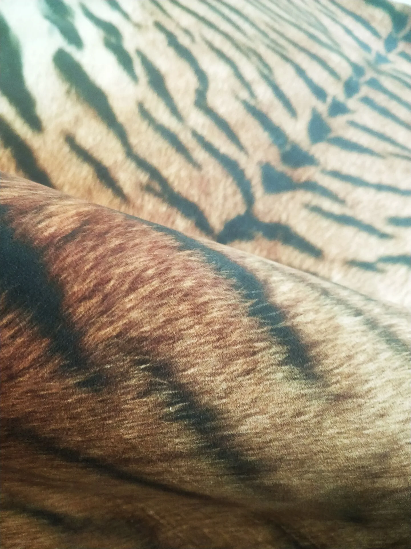10157387203_1503613179.jpg