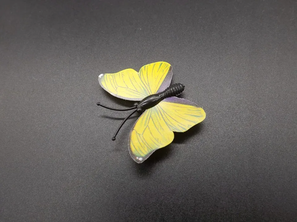 I259-Butterfly (7)