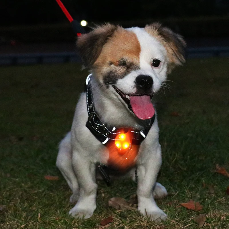 Светодиодный ошейник с подвеской для питомца, собаки, кошки, ошейник, безопасный мигающий светящийся светильник, мигающий светодиодный силиконовый ошейник для питомца, собаки, щенка 15