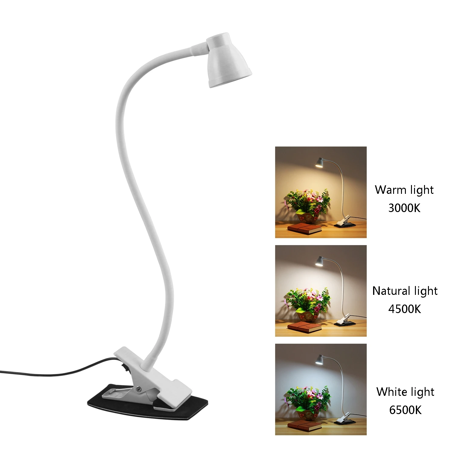 Natural Light Reading Lamp Punkie