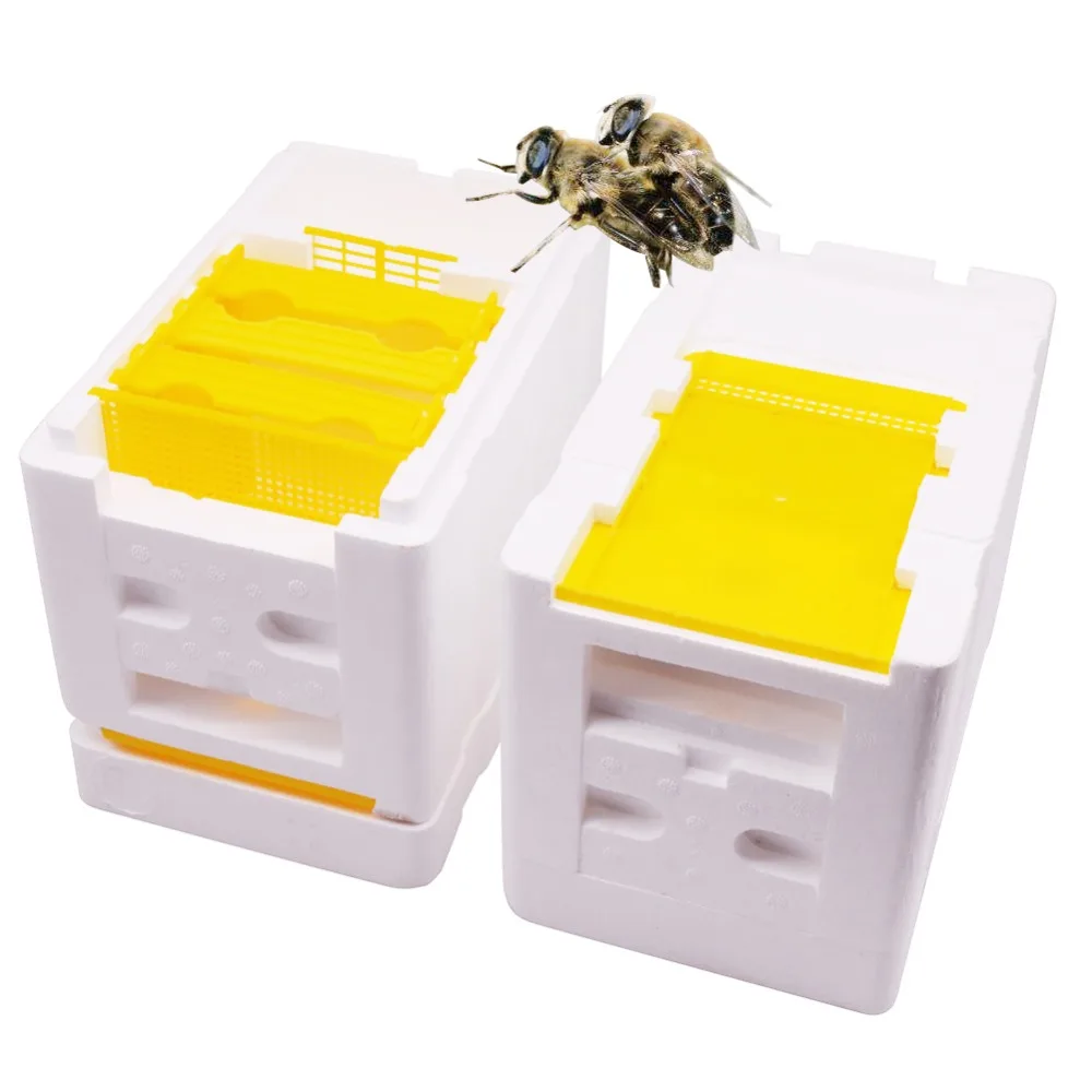 

3 pcs Bee Mating Breeding Box Beekeeping Tool Compressed Foam Materials Beekeeper Apiary Bee Length 241* width 148* height 166mm