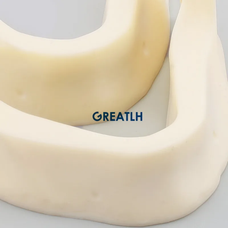 2 шт. зубные модель M2025-развитию челюсти ниже