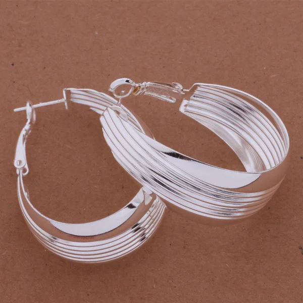 

wholesale High quality silver Fashion jewelry errrings WE-568