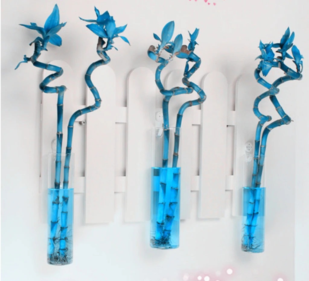 3 Pieces Hanging Glass Vase Plants Flowers Hydroponic Bottle Decor Cylinder 15cm