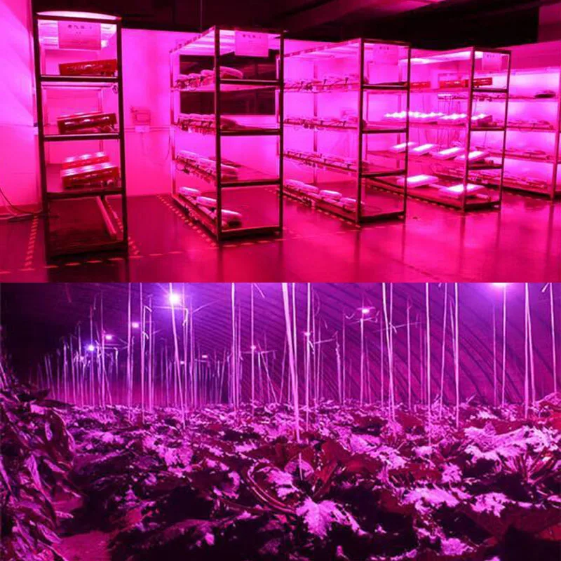 

30W/50W/80W Full Spectrum AC85-265V 5730SMD LED Grow Light Lamp For Plants And Hydroponics Grow/Bloom Lighting E27 QP2