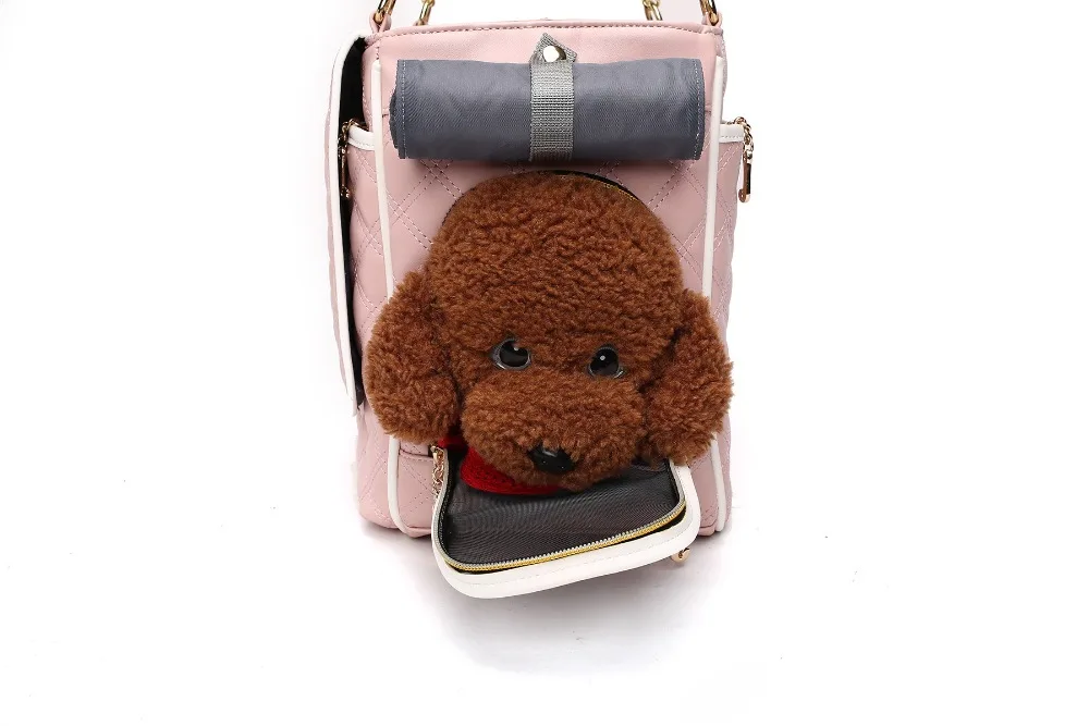 HTB1c47pPpXXXXb3XXXXq6xXFXXXB