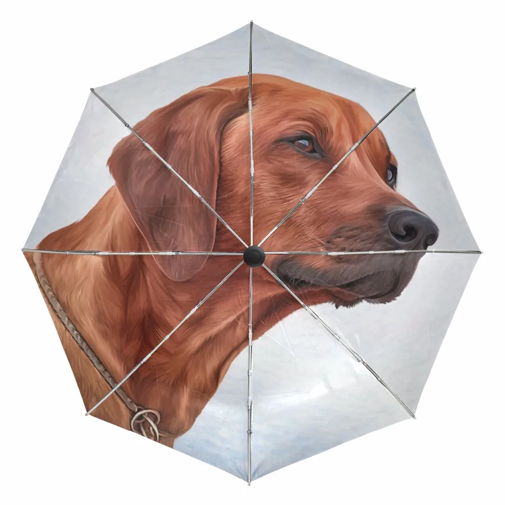 

Rhodesian Ridgeback Dog Umbrella Rain Women Windproof Sun Rain Automatic Folding Umbrellas Lady Umbrella Parasol Dropshipping