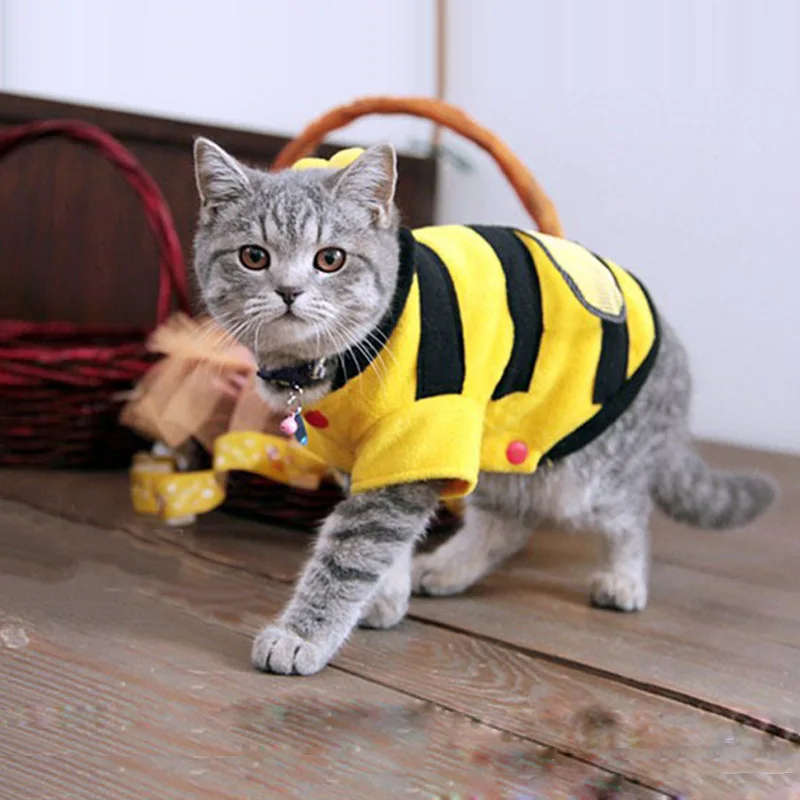 2016 Hot Sales Pet Dog Cat Bumble Bee Wings Fleece Hoody