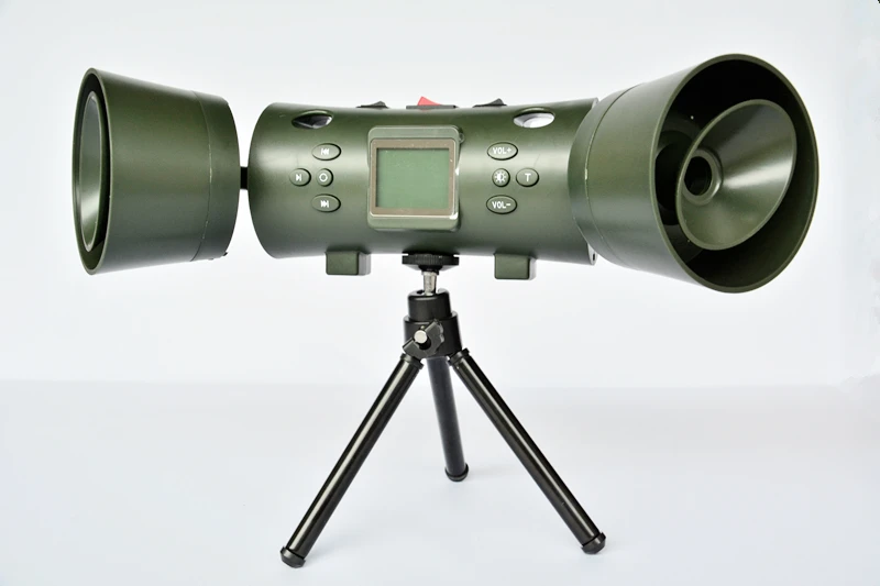 hunting bird sound mp3 paly