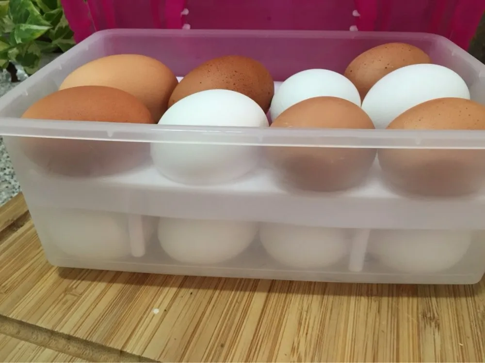 UT8f4jCXspbXXagOFbX2