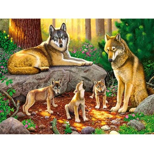 Волк масляные краски DIY картины по номерам раскраски по номерам красочные украшения для дома в виде животных 40*50 см - Цвет: Y5157