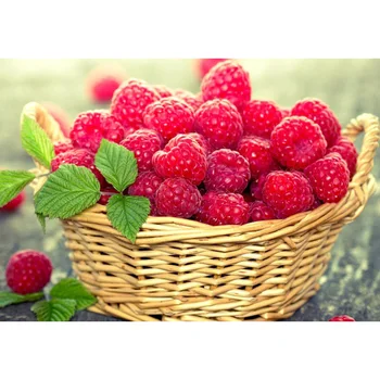 

New Hot DIY Diamond Painting 100%full square drill home decor Painting Cross Stitch Embroidery Fruits Mosaic picture