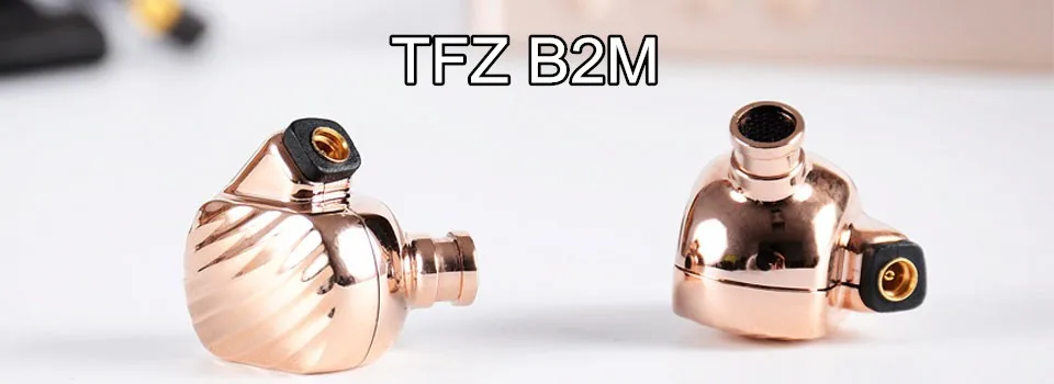 TFZ B2M