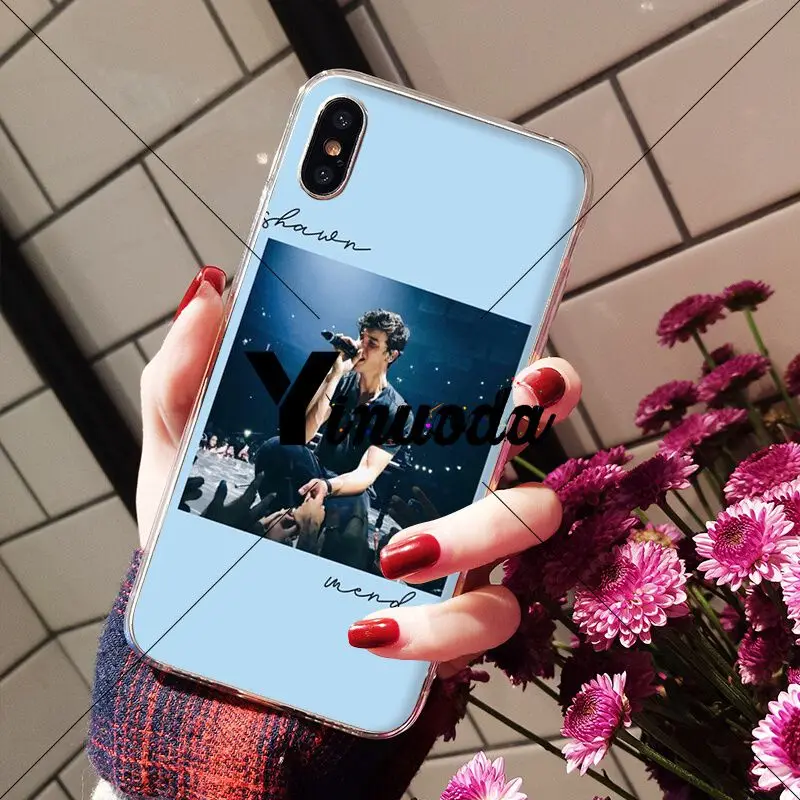 Hit pop singer Shawn Mendes love