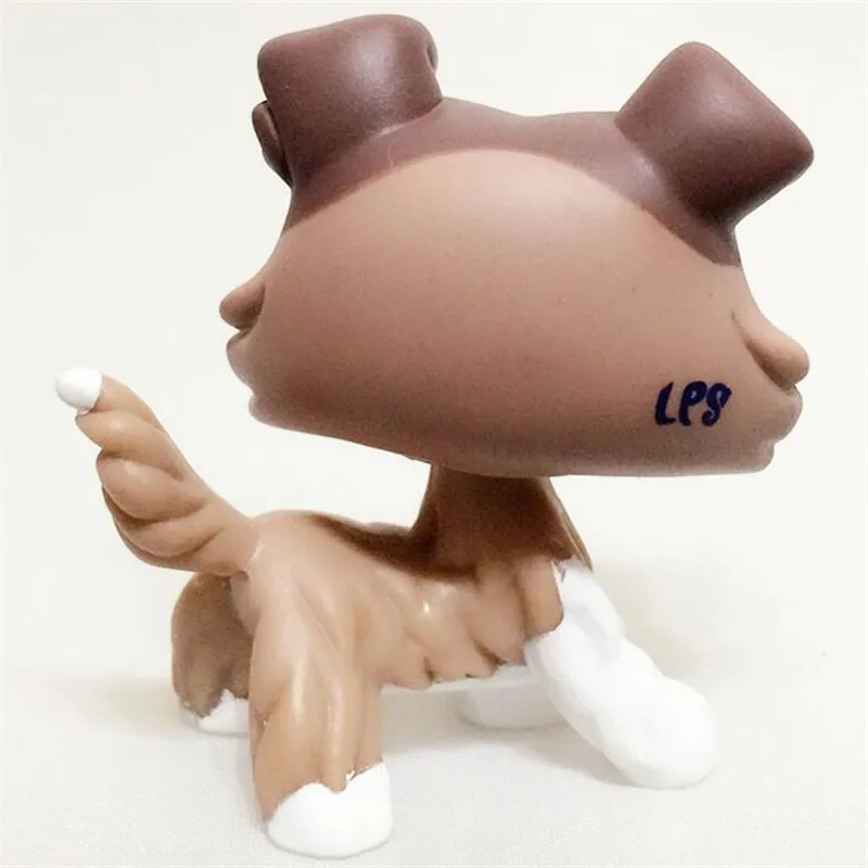 Магазин домашних животных Lps Toy Action стоя коллекция коротких волос 41 пудра Кошка