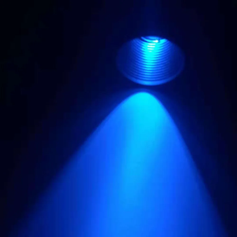 4959203219241458