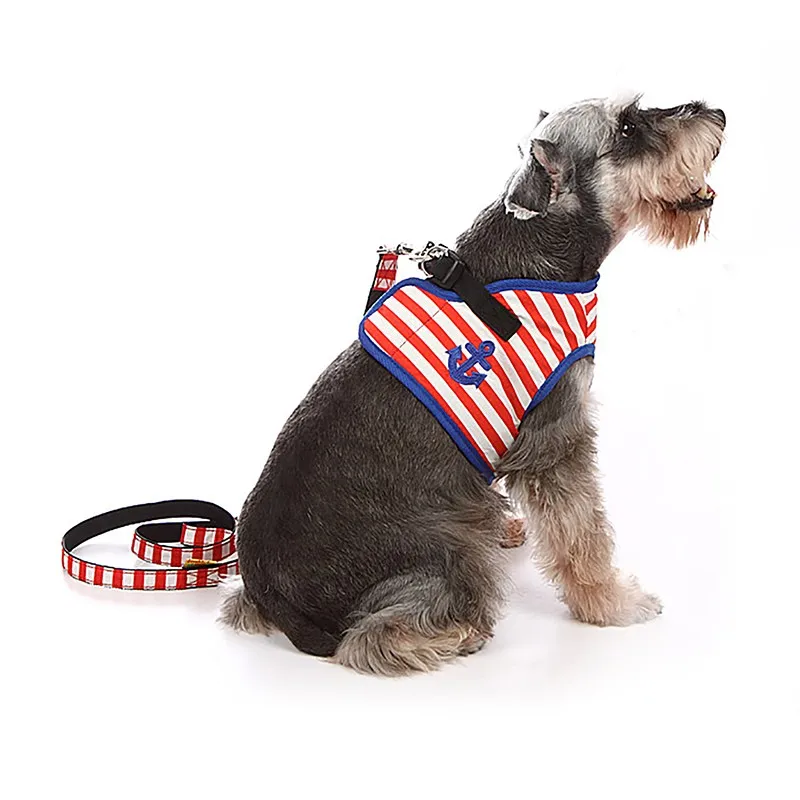 T2TkyaXa0aXXXXXXXX_!!137856707