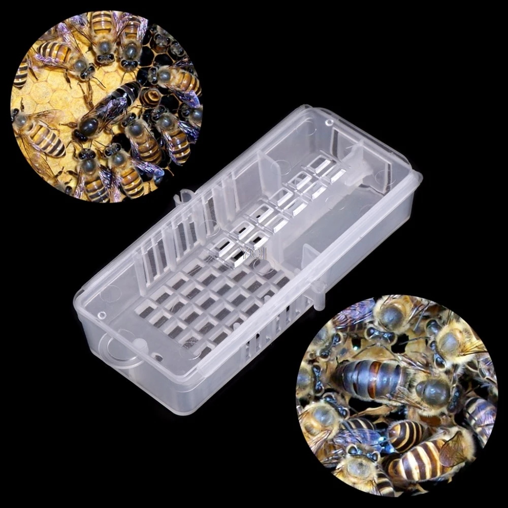 

Multi-function Bee Box Honey Beekeeping Plastic Hive Cage Catching Tool Moving Equipment Match Beekeeping Supplies