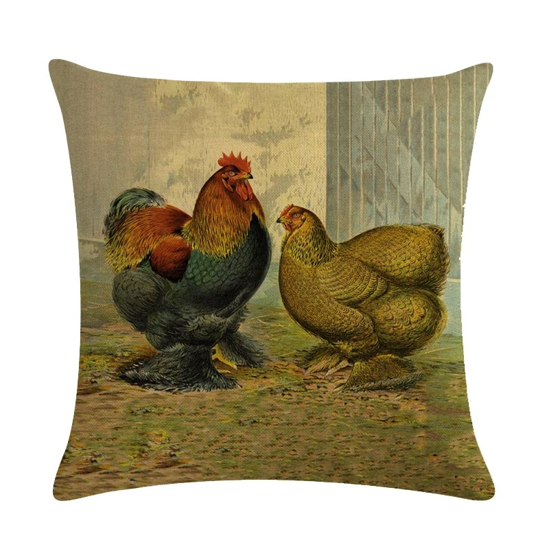 11077911557_1872340964