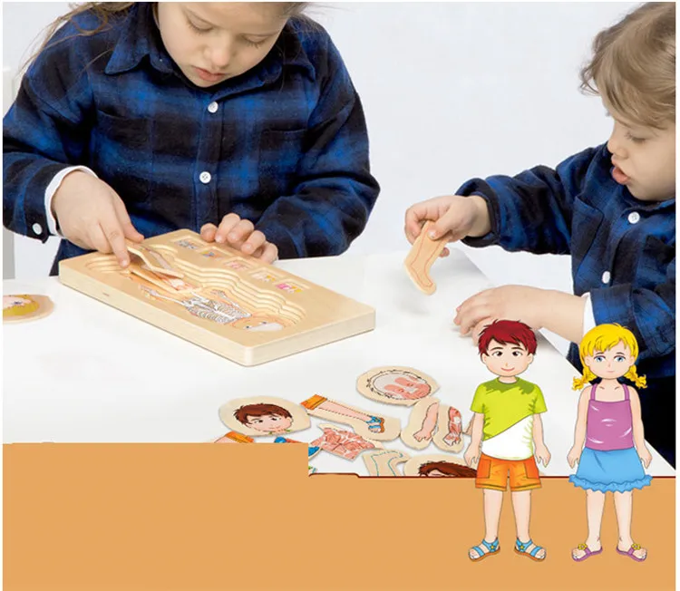 Развивающие игрушки деревянные человеческого тела головоломки мальчики девочки тела Структура Деревянные Детские пазлы детские игрушки