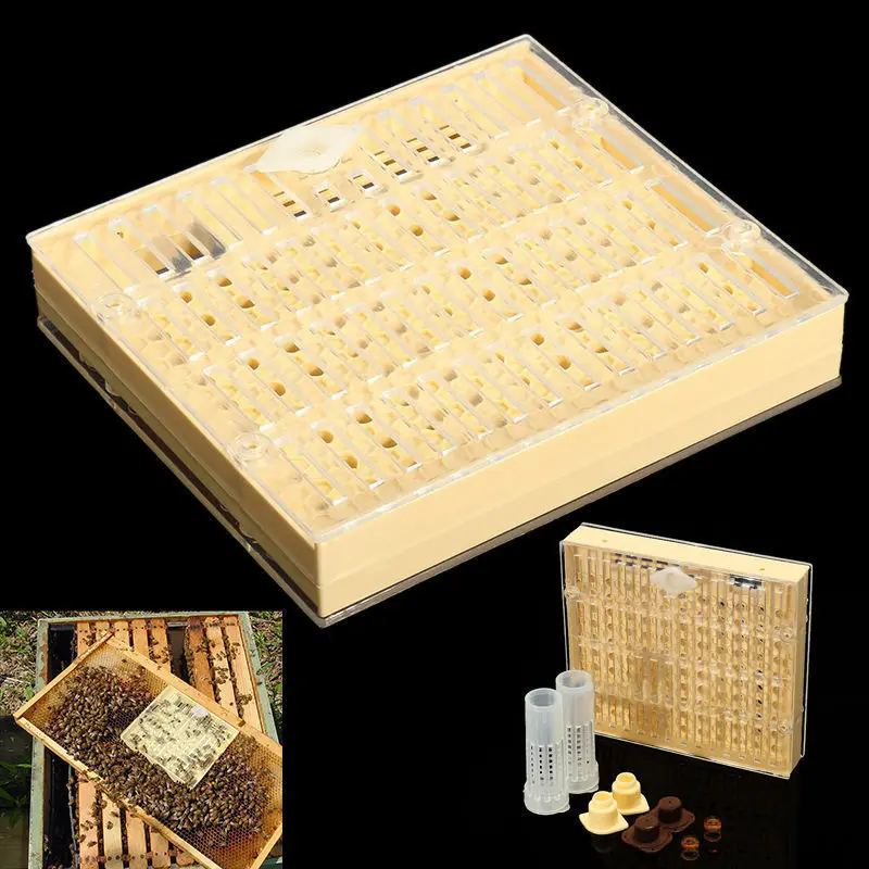 

Holders Beekeeping Suit Kit Accessories Cupkit Box Hair Cage Cell 441pcs Plastic Queen Rearing Useful Reliable