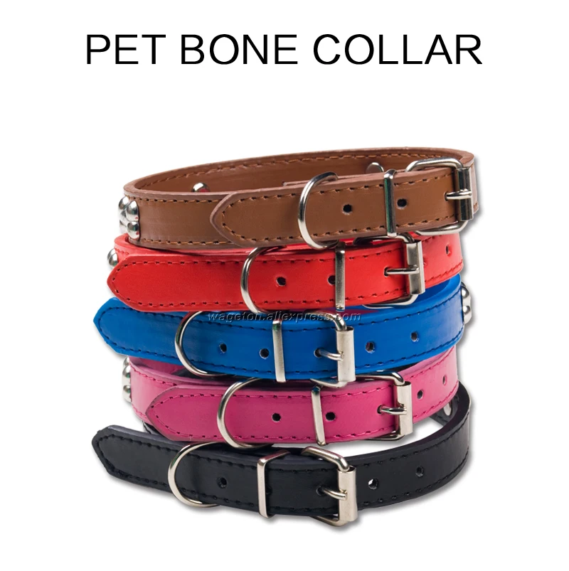 1 dog collar 