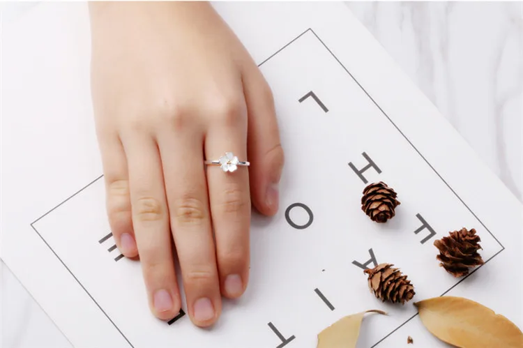 7972936794_1646359543