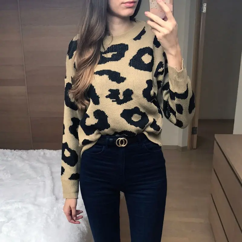 Streetwear Leopard Print Sweater Women 2018 Autumn Winter Fashion Long Sleeve Befree Knitted Sweaters and Pullovers For Ladies