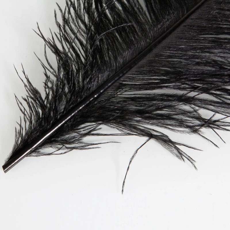 10pcs-1358-Ostrich-Feather-Black_4_800x800