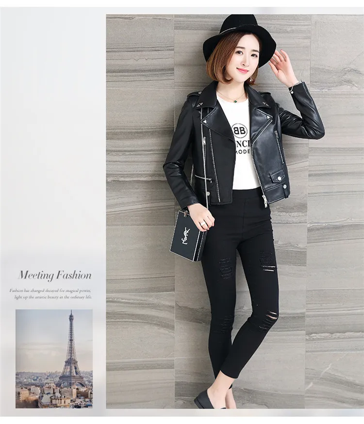 8807405699_1846145073