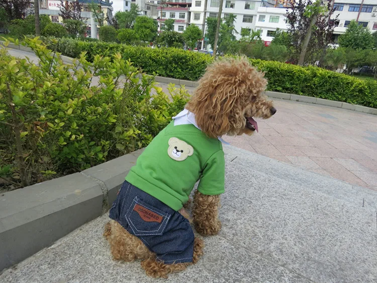 dog clothes (3)