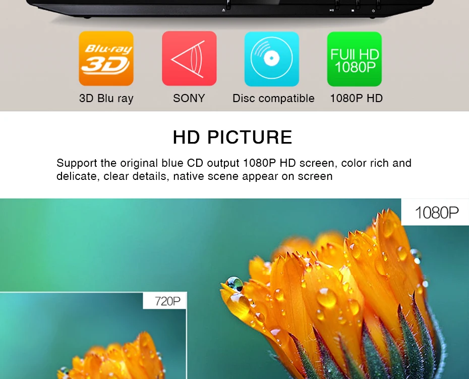 32597882927--DVD--_03