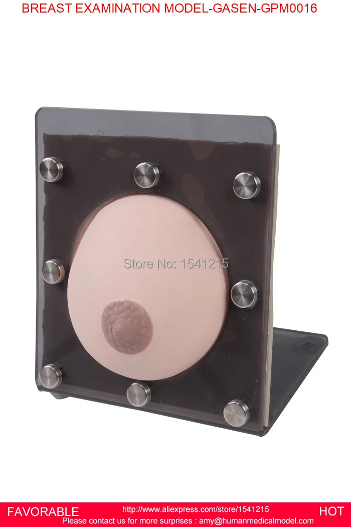 BREAST EXAMINATION SIMULATOR, BREAST SELF EXAMINATION MODEL,BREAST EXAMINATION MODEL,BREAST SELF EXAMINATION MODEL-GASEN-GPM0016 BREAST EXAMINATION SIMULATOR, BREAST SELF EXAMINATION MODEL,BREAST EXAMINATION MODEL,BREAST SELF EXAMINATION MODEL-GASEN-GPM0016