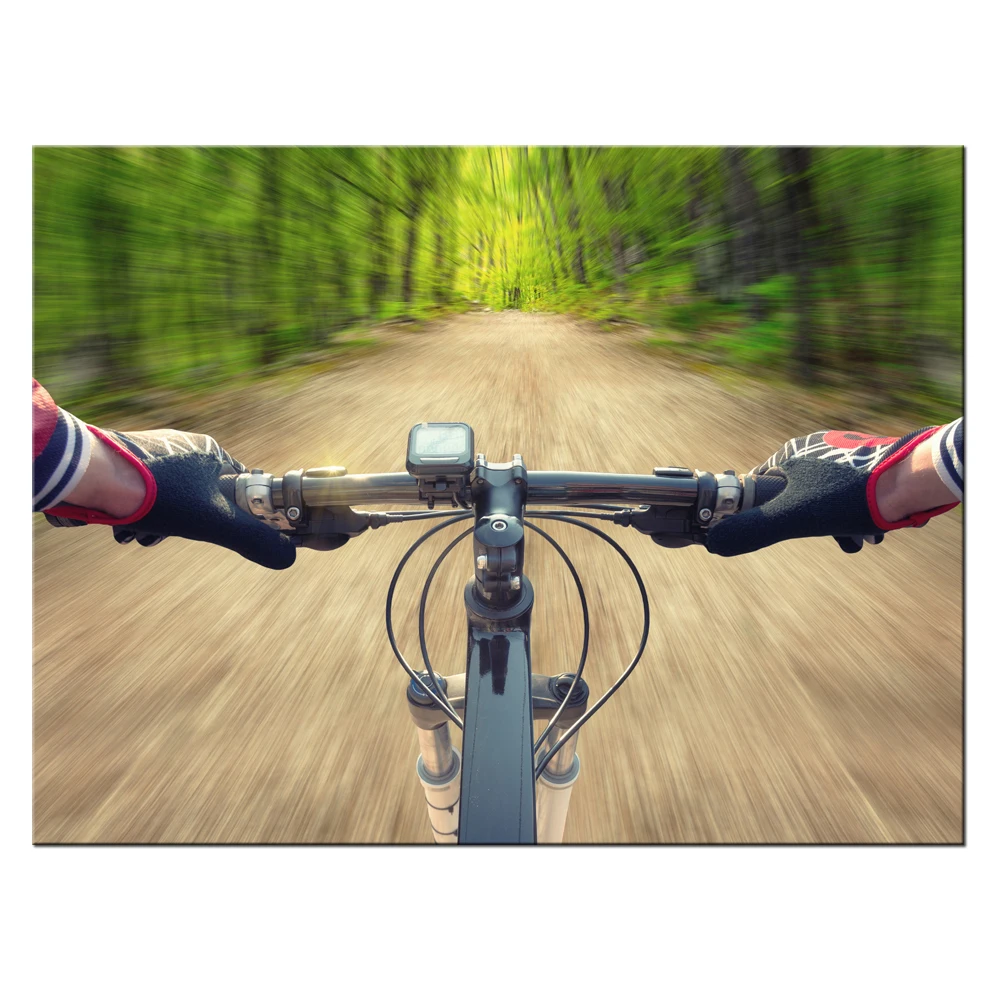 Extreme Sports Canvas Paintings HD Print Mountain Bike Poster