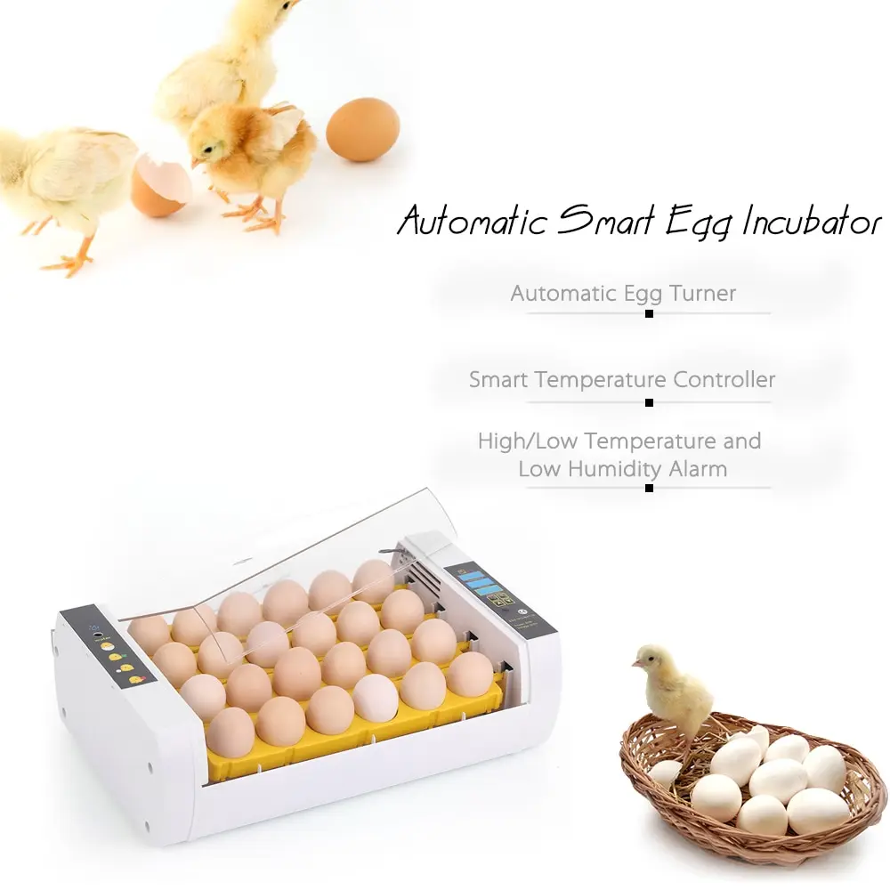 24-Eggs Intelligent Automatic Egg Incubator Temperature Control Hatcher for Hatching Chicken Duck Bird Quail Poultry 24-Eggs Intelligent Automatic Egg Incubator Temperature Control Hatcher for Hatching Chicken Duck Bird Quail Poultry