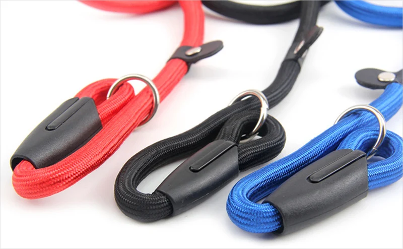 Dog training leash pet supplies