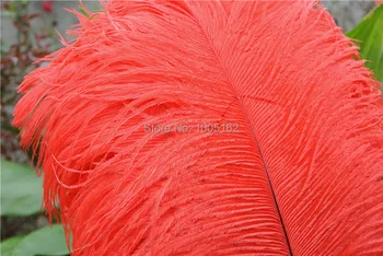 

Free Shipping 100pcs 20-22inch red Ostrich Feathers plumes for Wedding centerpiece costumes decor