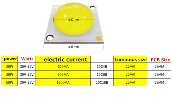 3357351656_915491625_