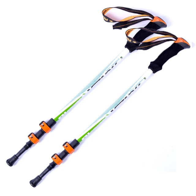 Hiking Tracking Sticks for Nordic walking Scandinavian Folding Carbon