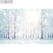 Алмазная мозаика фото на заказ Серебряный Блеск Фото квадратные Стразы 5D DIY алмазная живопись рукоделие вышивка крестиком подарок LWR