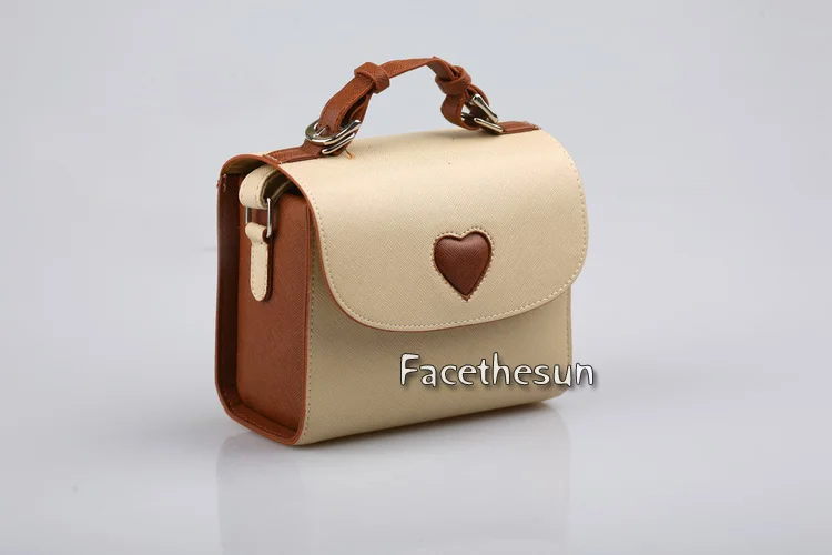 Fuji Polaroid Camera Bag 12