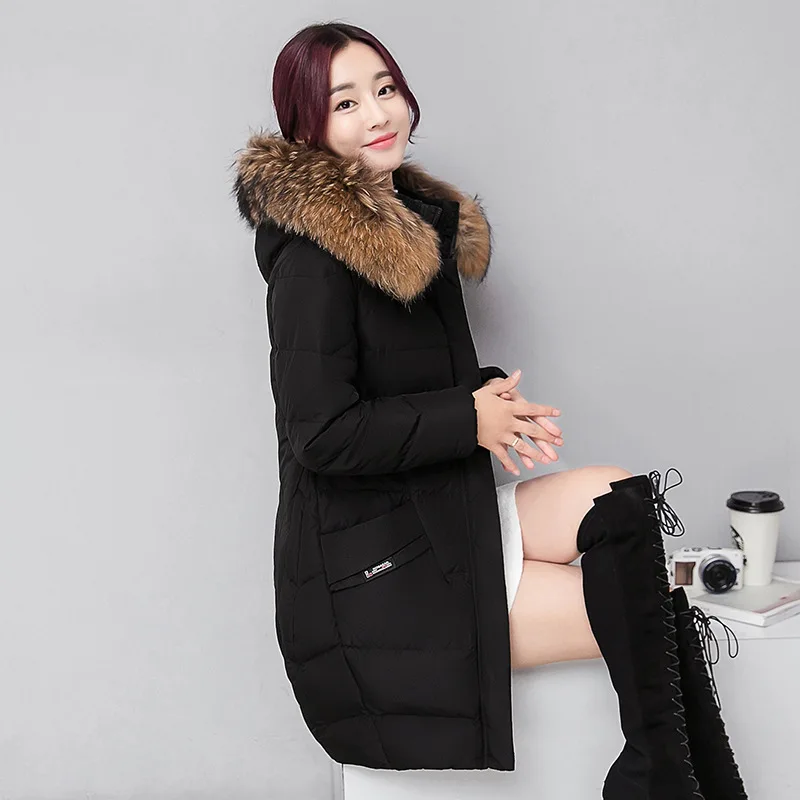 Femmes Picture picture Color 3xxxl Noir Épais M Color 2018 D'hiver Rembourré Coton Parka Doublure Collier Artificielle Veste Dames Femelle Raton Nouveau Manteaux Cheveux Laveur 54AgwRWHqB