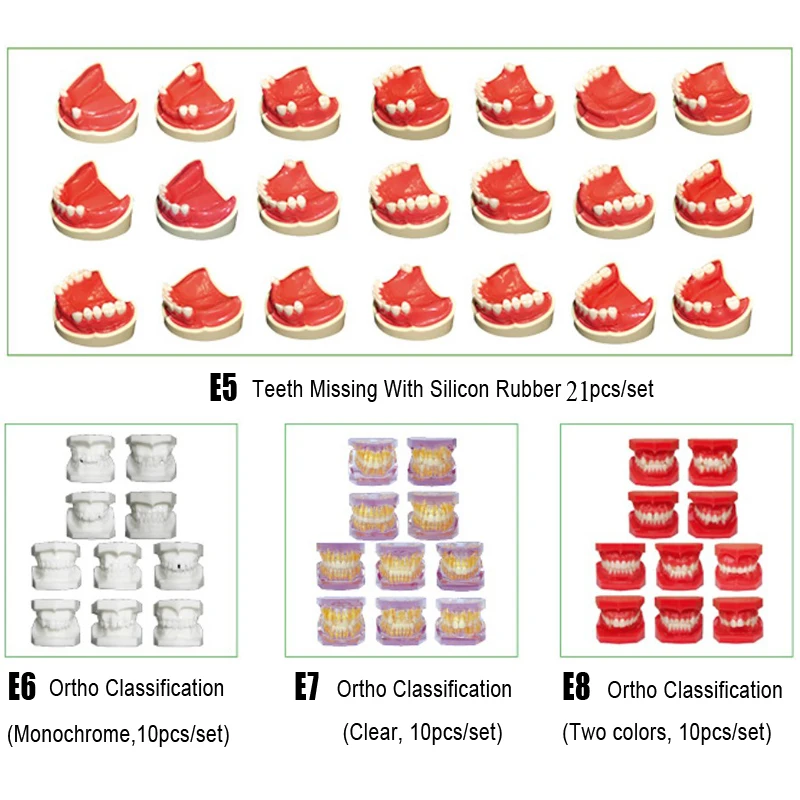 Стоматологическая отсутствующая модель с силиконовой резиновой стоматологический ортодонтический классификация зубов для стоматологических исследований
