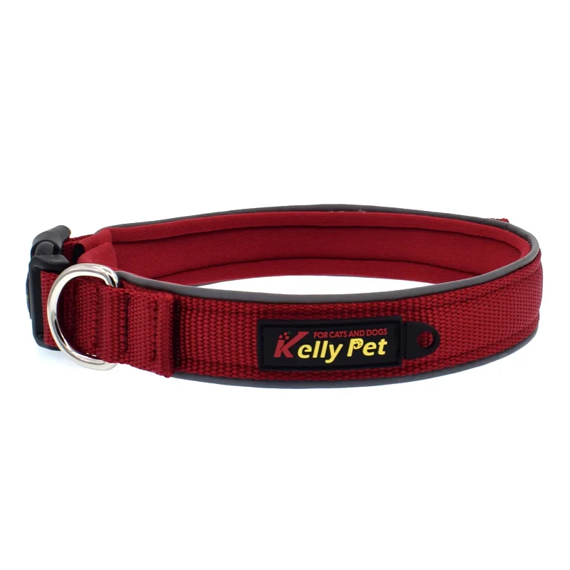 8 dog collar embroidered 